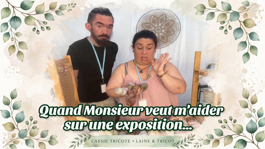 Monsieur sur les expos... (Vidéo humoristique)