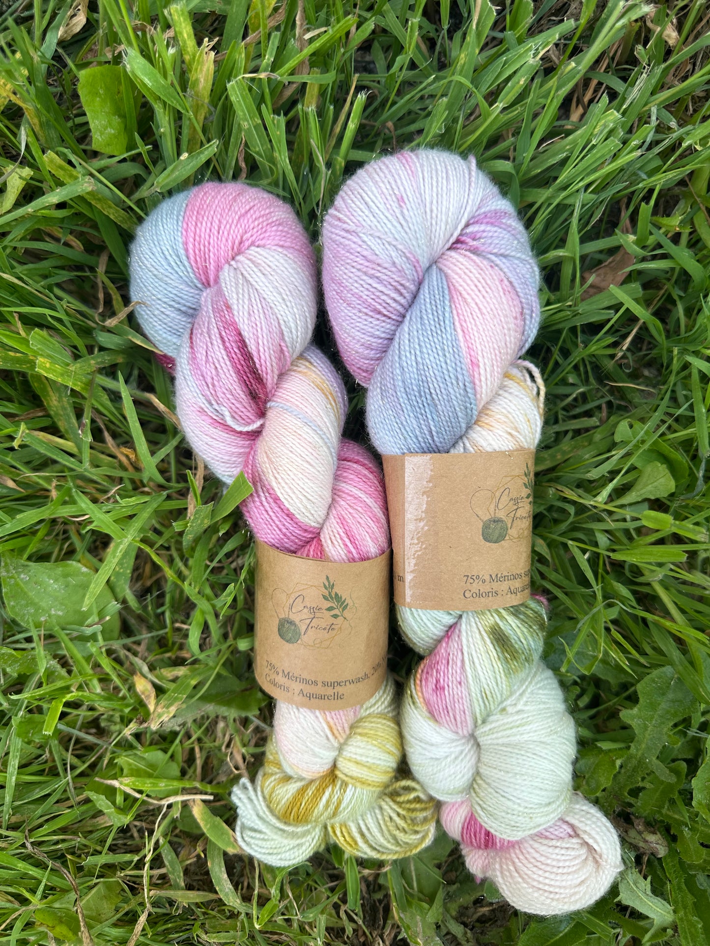 Aquarelle : Mérinos, nylon, Gold Stellina