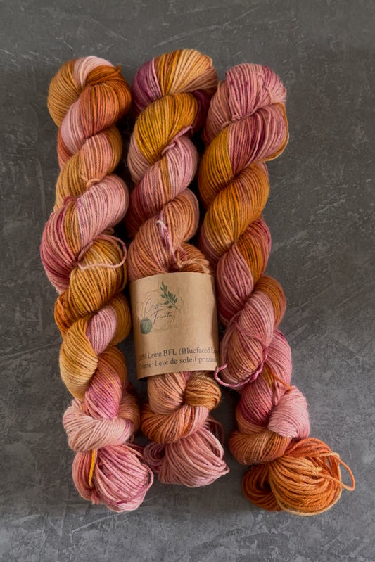🌅Levé de soleil printanier : fingering : 100% BFL