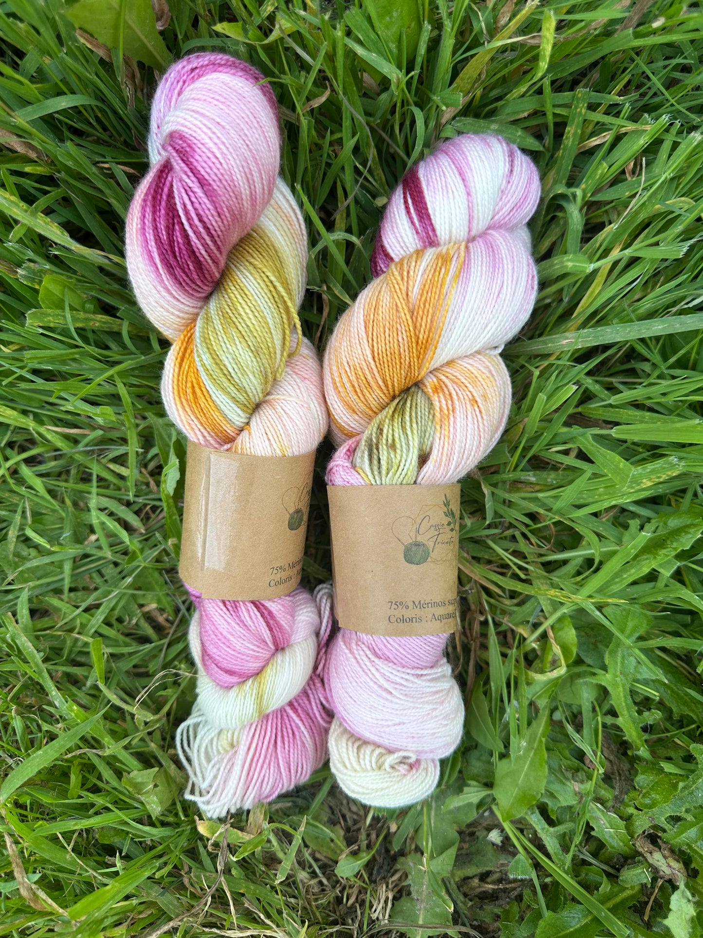 Aquarelle : Mérinos, nylon