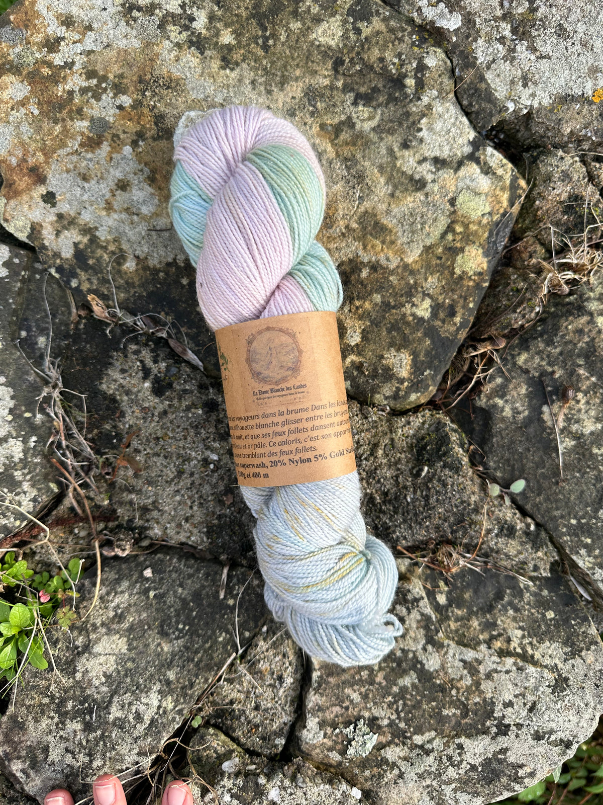 La dame blanche des landes: Mérinos, nylon, bronze stellina
