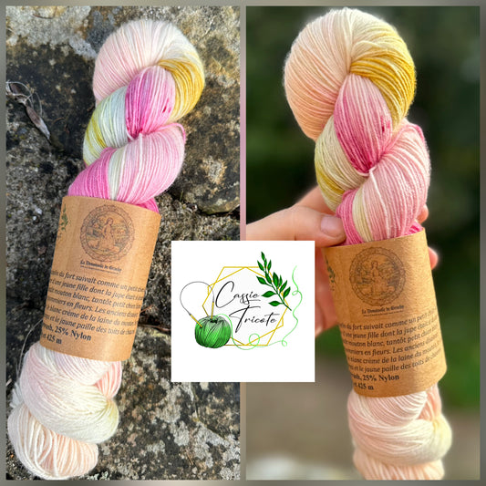 La Demoiselle de Gruchy: BFL et nylon