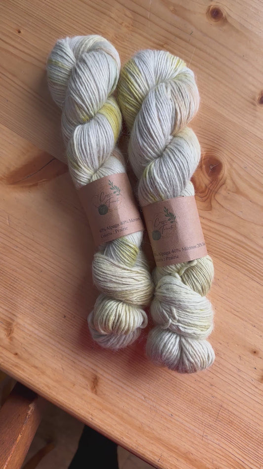 Prairie : DK : Alpaga, Mérinos, Soie